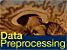 Data Preprocessing in Data Mining